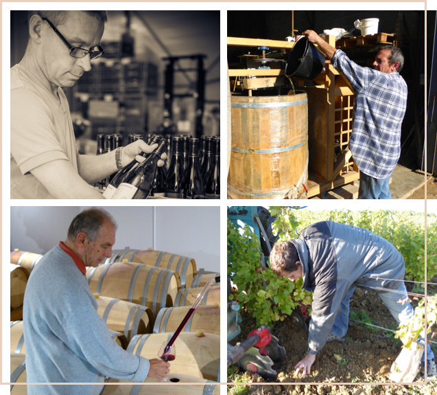 domaine viticole Denis Jamain : production de vin Reuilly bio