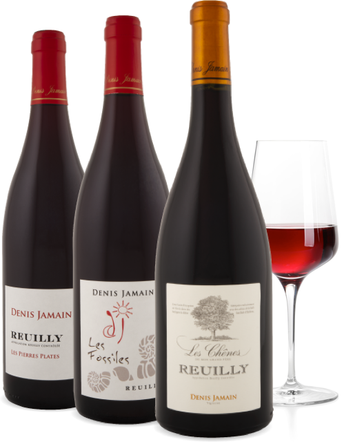 vin rouge Reuilly bio