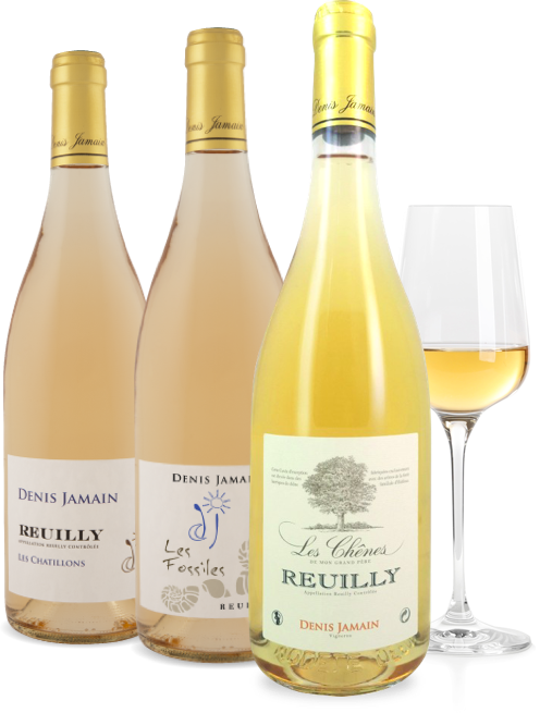 vin rosé Reuilly bio